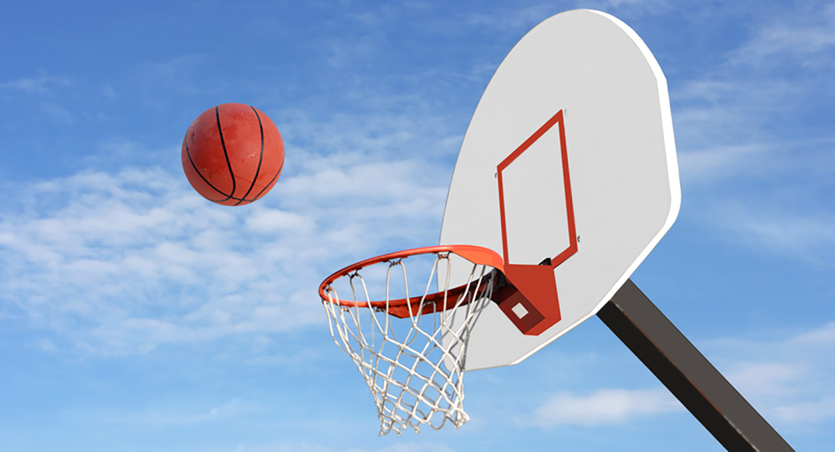 Resultado de imagen para le basket